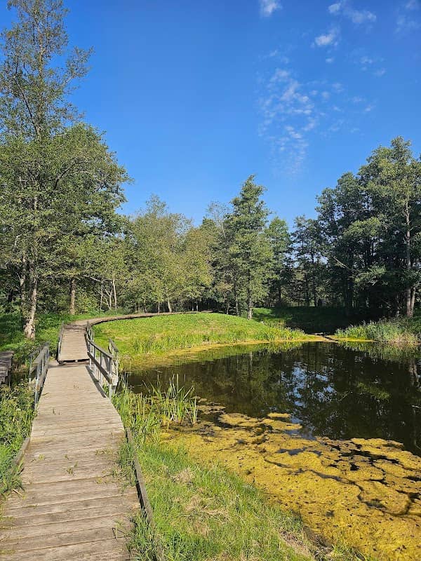 Smegduobių ežero pažintinis takas - Image 1