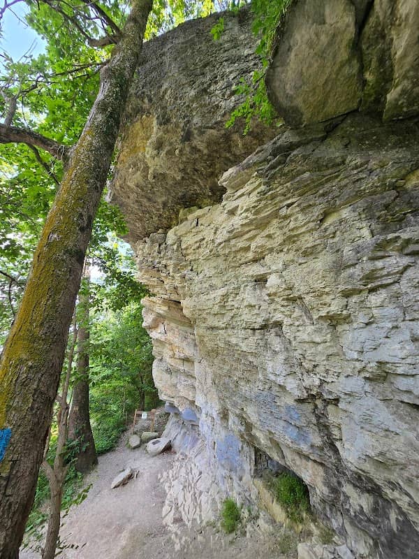 Hanging Rock National Natural Landmark - ACRES Land Trust - Image 1