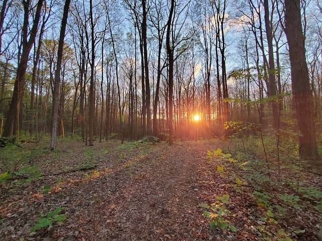 Norm Weller Park - Image 2