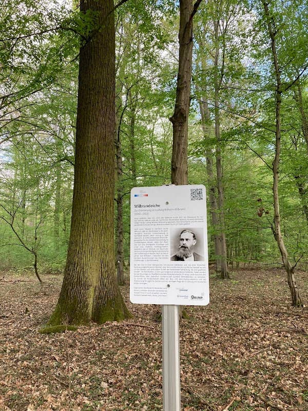 Wilbrandeiche - Image 1