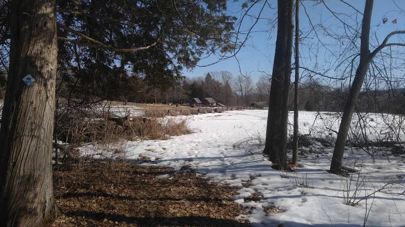 Tracy Woods Community Trail - Image 1