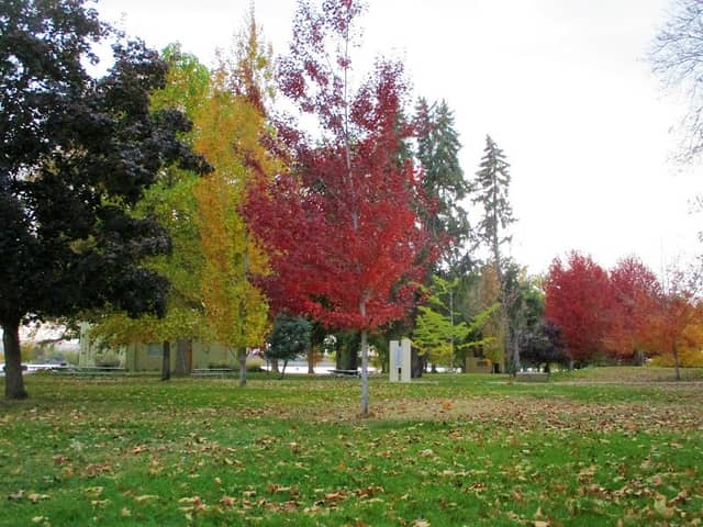 Sacajawea State Park Interpretive Center - Image 2