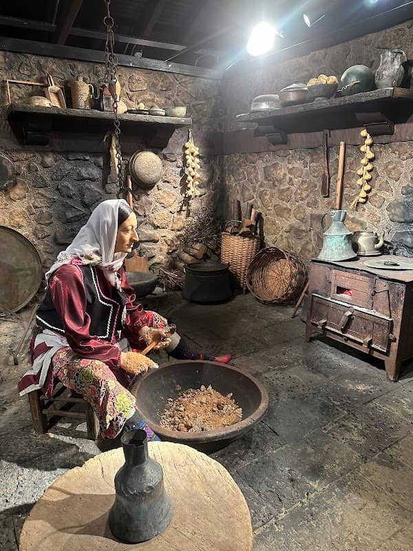 Doğal Yaşam Müzesi - Image 2