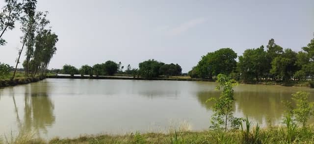 सिक्टिहवा ताल - Image 2