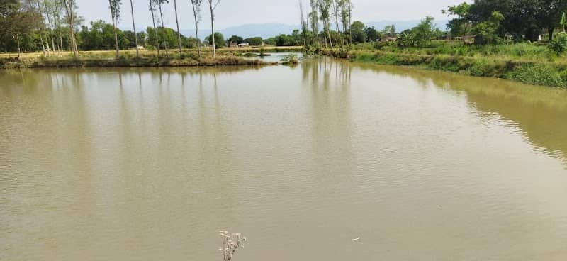 सिक्टिहवा ताल - Image 1