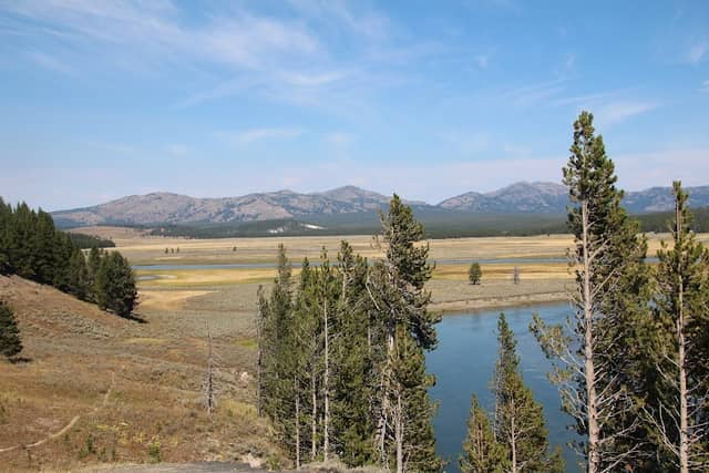 Hayden Valley at Trout Creek - Image 1