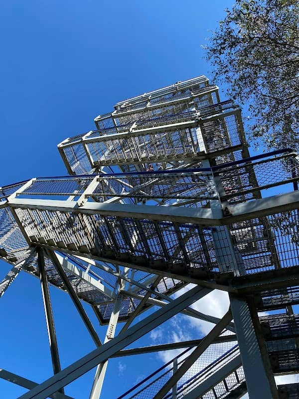 Mount Donna Buang Observation Tower - Image 3