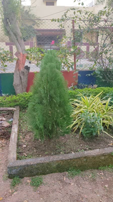 Borsi park - Image 1