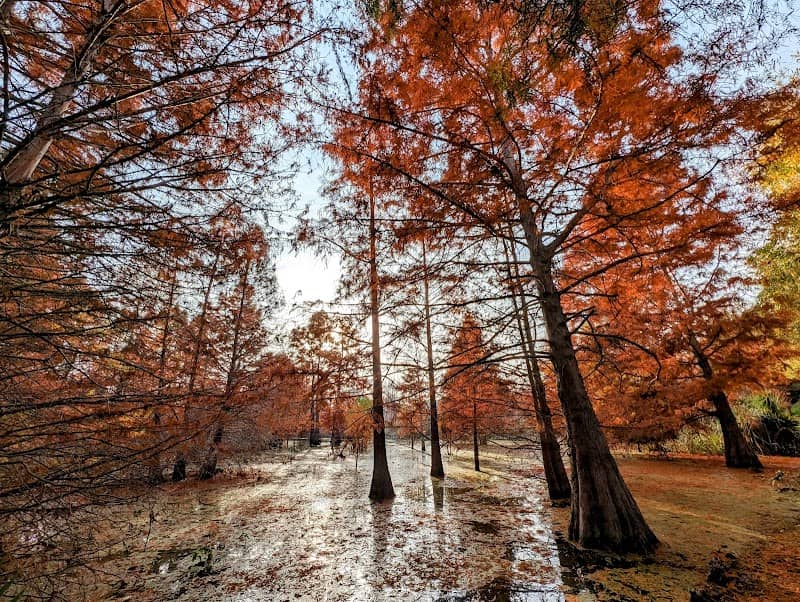 Cypress Grove - Image 1