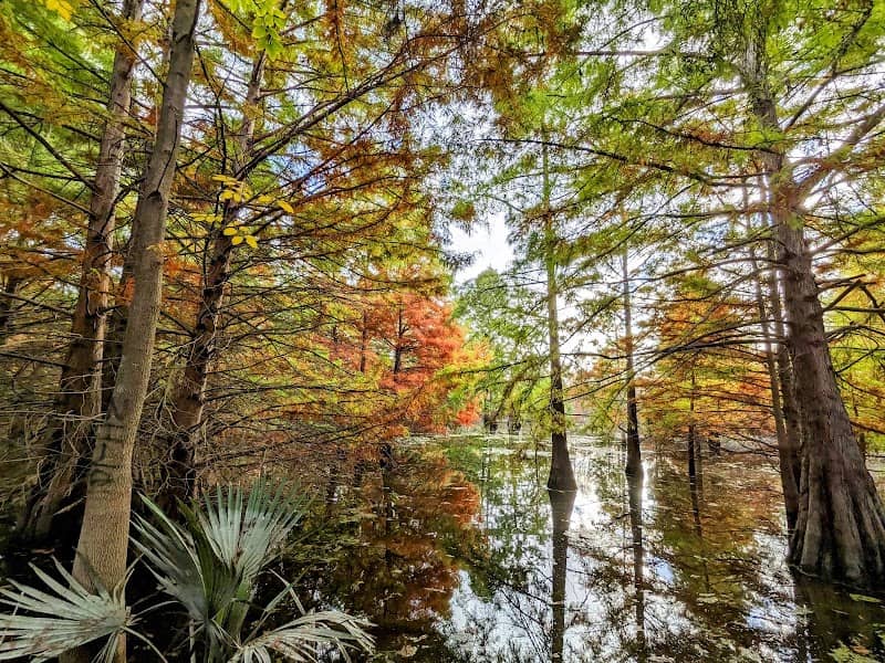 Cypress Grove - Image 2