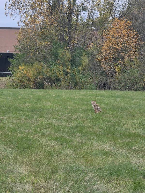 Willow Creek Greenway Parking Lot - Image 1