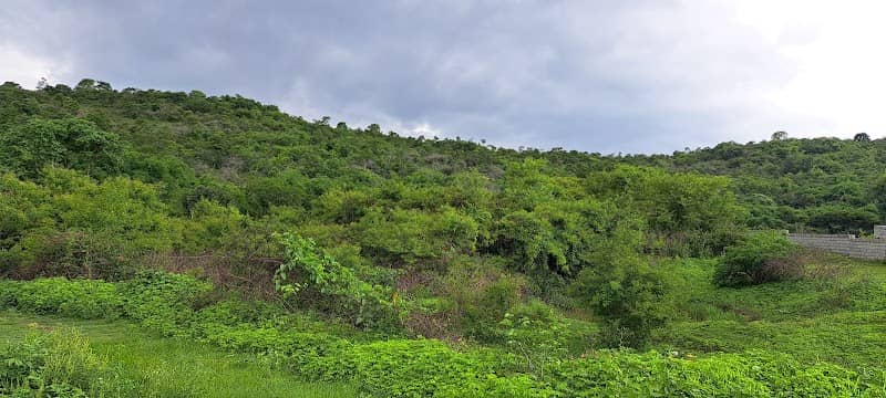 Stream View - Image 1