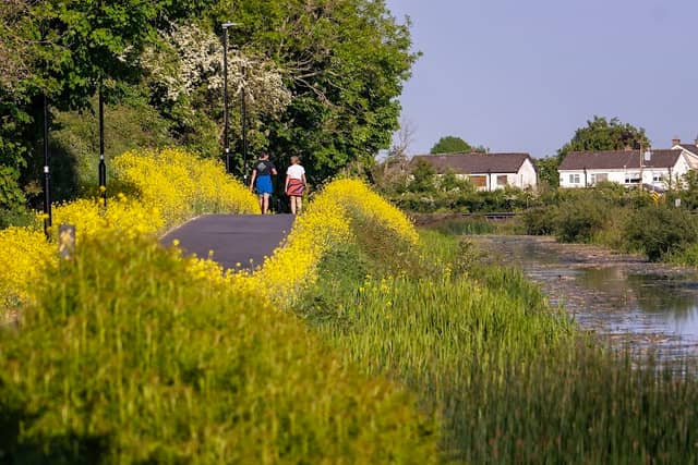 Royal Canal Greenway (Matt Goff Bridge) - Image 1