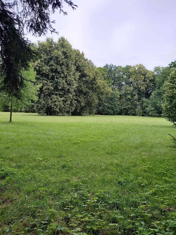 park Ostrov - Image 1