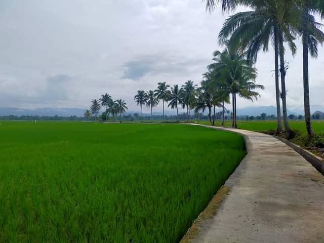 Kampung Wisata Taruko - Image 2