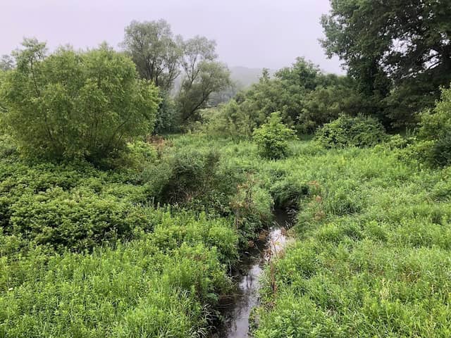 Montondon Park - Image 2