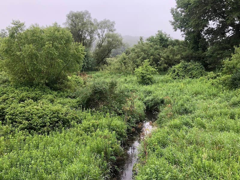Montondon Park - Image 2