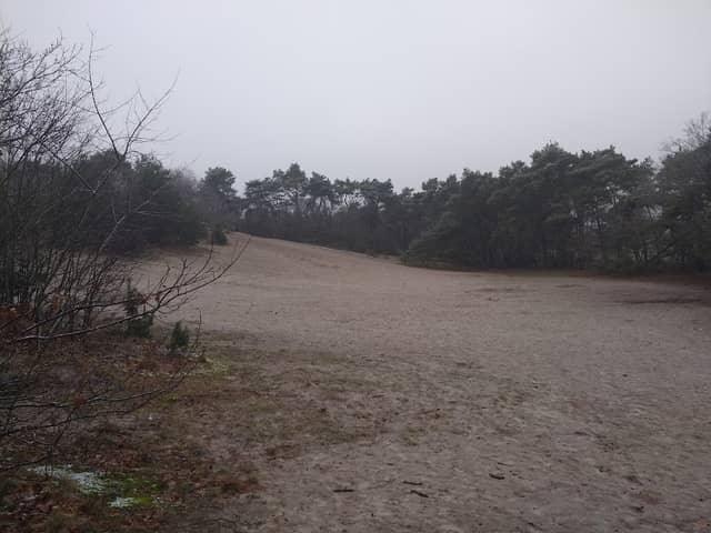 Hardenbergerzandheuvels - Image 2