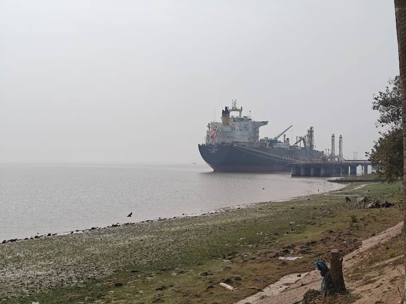Dolphin sighting point - Image 1