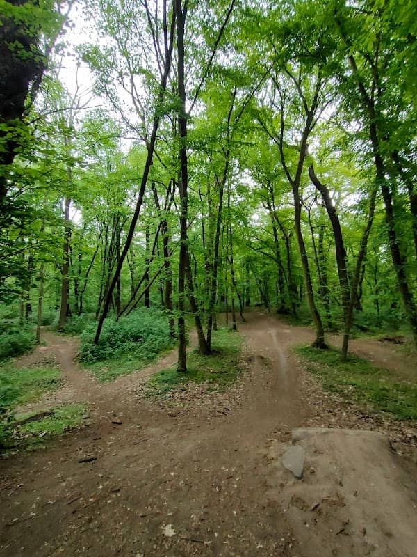 Bikepark Lipovka - Image 1