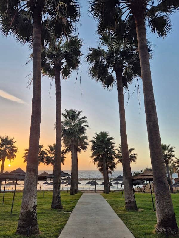 St. George Palms - Image 1