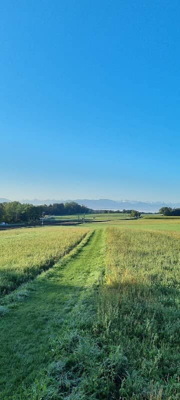 Aussichtspavillon - Image 1