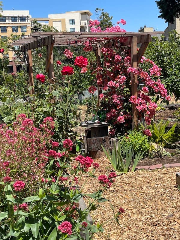 Hazel Community Garden - Image 2