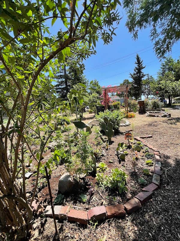 Hazel Community Garden - Image 1
