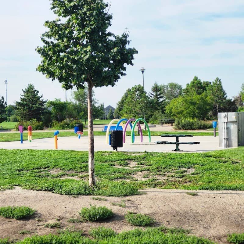 Alexander MacGillivray Splash pad and Park, Stonebridge - Image 2