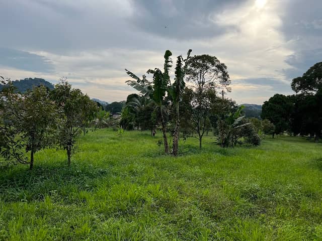 Lot 536 - Image 1