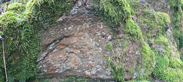 Naturdenkmal Winterberg - Image 2