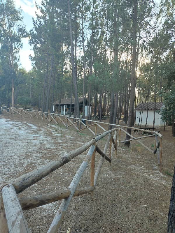 Churrasqueira/ Barbecue Parque - Image 1
