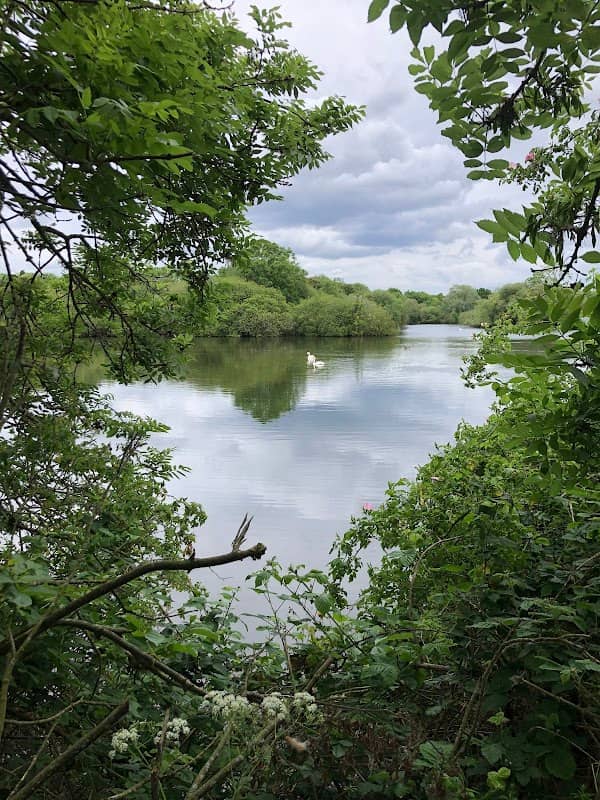 Tower Hide - Image 2