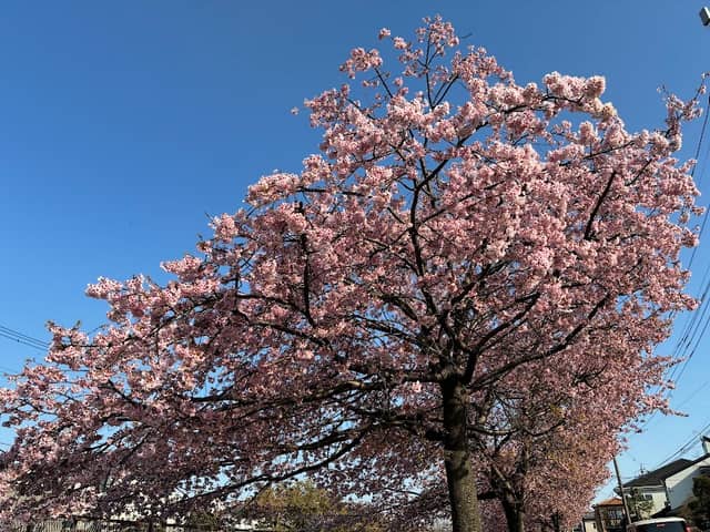 栄羽橋 - Image 1