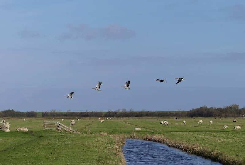 Uitzichtpunt De Bol - Image 1