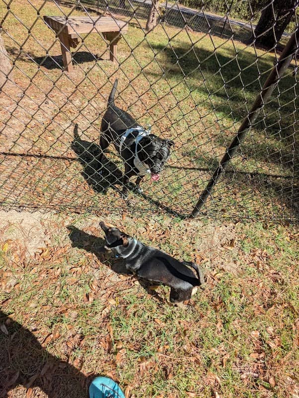 Kevin Barber Memorial Dog Park - Image 1