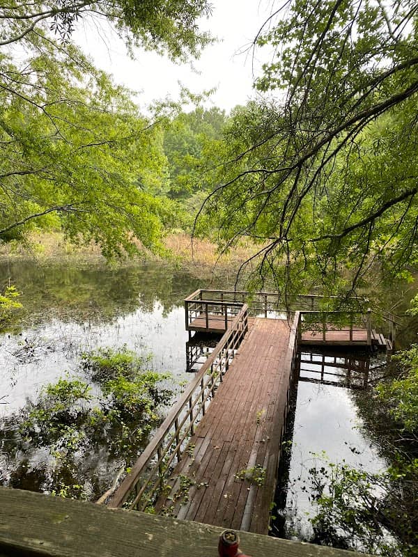 Frog Pond Overlook - Image 1