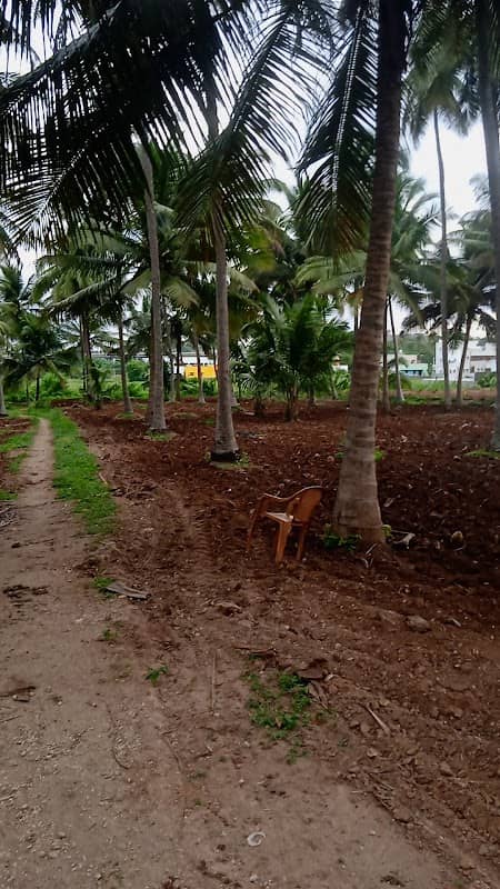 Thevar Mani Thottam - Image 1