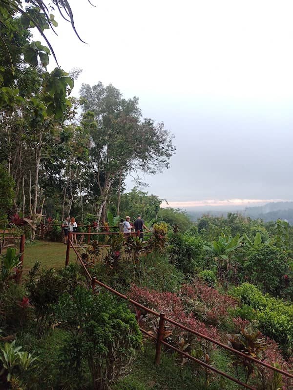 Desa Wisata Karangrejo - Image 2