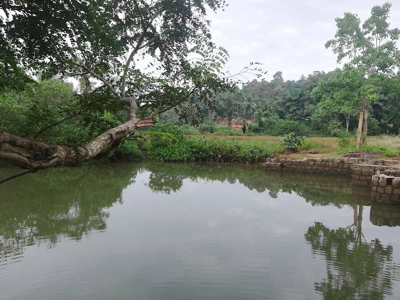 Nariyadi River View Point - Image 1