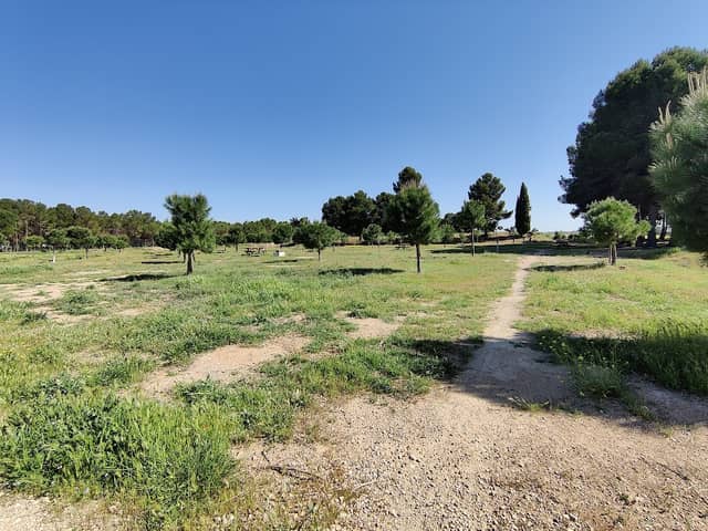 Área picnic La Roda - Image 1