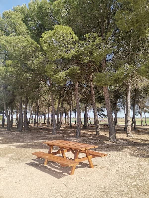 Área picnic La Roda - Image 2