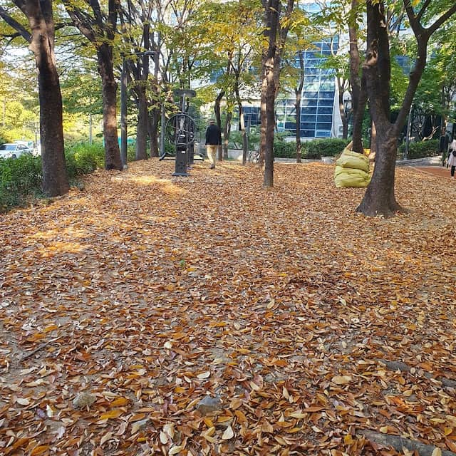 Banpo Park - Image 3