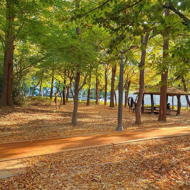 Banpo Park - Image 1