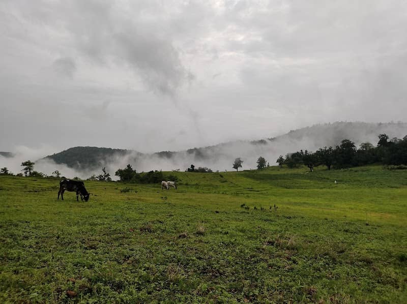 NIKHADE farm - Image 2