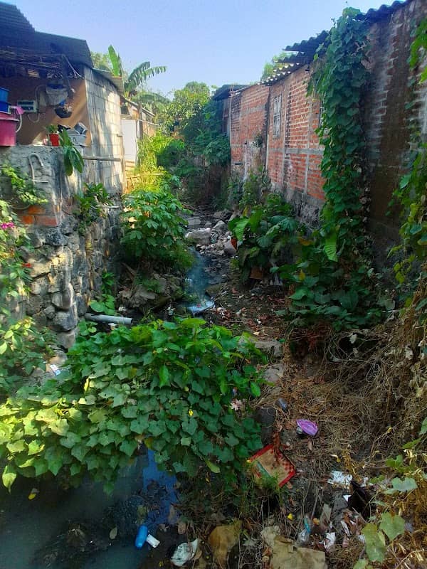 Quebrada sanjulian - Image 2