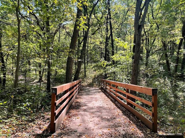 Brown's Woods - Image 2