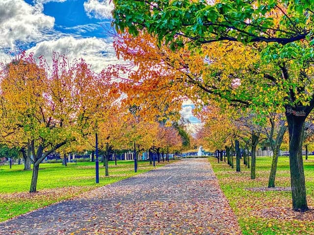 Wellington Square - Image 2