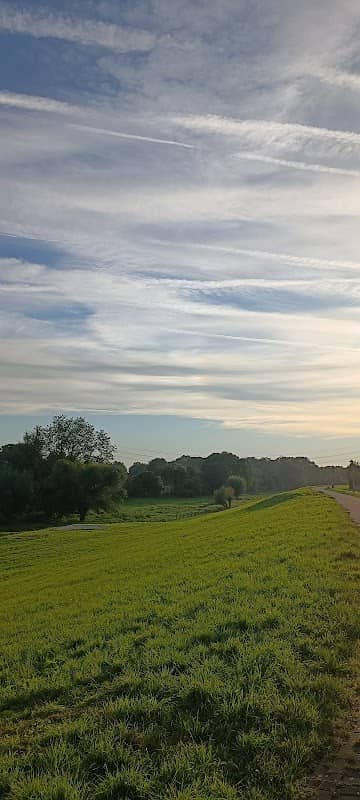 Krefeld Hohenbudberg Roos - Image 1