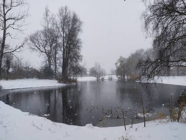 Park Waterlaat - Image 1